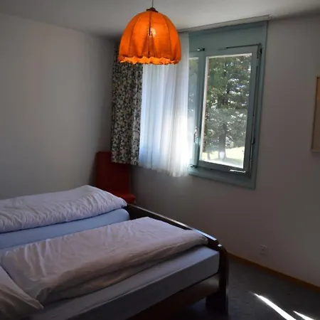 Ferienwohnung Alpines Sportzentrum アパート ミューレン